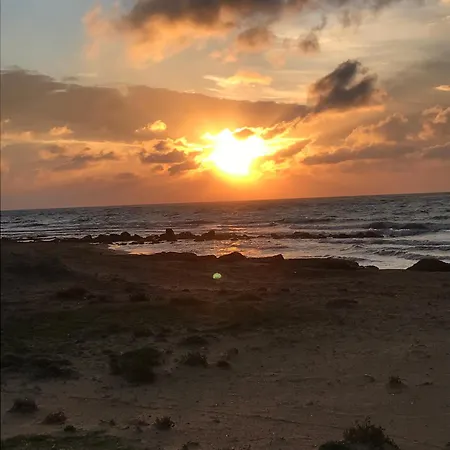 Eleni